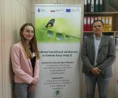  + powiększ zdjęcie